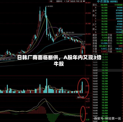 日韩厂商面临断供，A股年内又现3倍牛股-第2张图片
