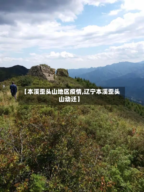 【本溪歪头山地区疫情,辽宁本溪歪头山动迁】-第2张图片