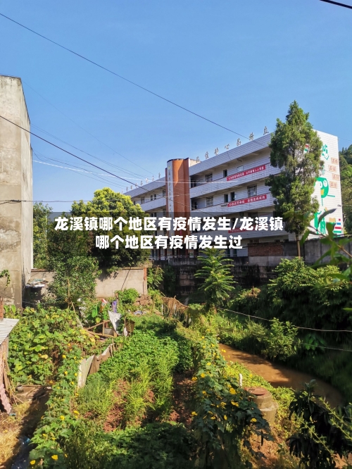 龙溪镇哪个地区有疫情发生/龙溪镇哪个地区有疫情发生过-第2张图片