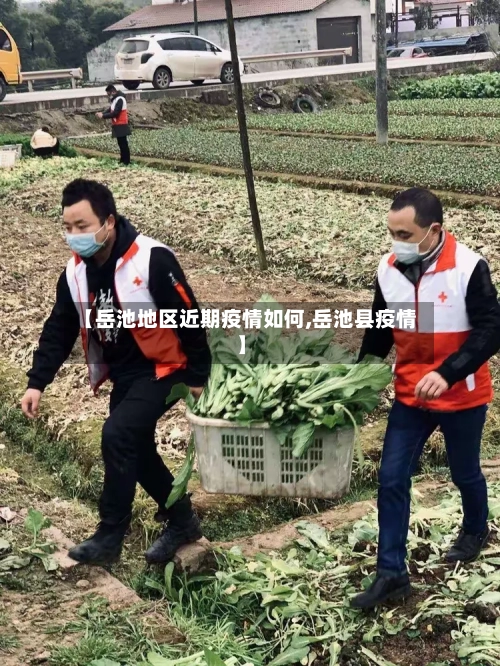 【岳池地区近期疫情如何,岳池县疫情】