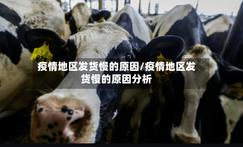 疫情地区发货慢的原因/疫情地区发货慢的原因分析-第3张图片