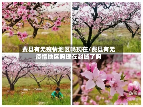 费县有无疫情地区吗现在/费县有无疫情地区吗现在封城了吗-第2张图片