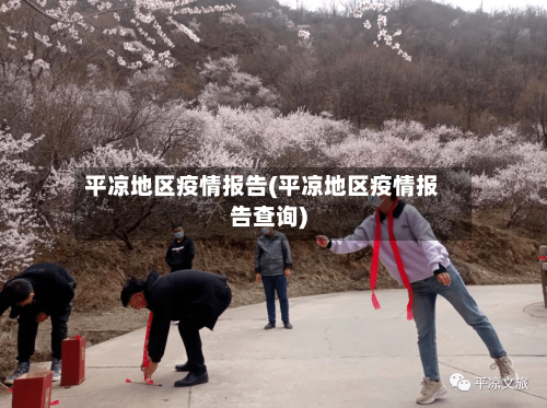 平凉地区疫情报告(平凉地区疫情报告查询)-第2张图片
