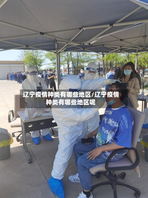 辽宁疫情种类有哪些地区/辽宁疫情种类有哪些地区呢-第3张图片