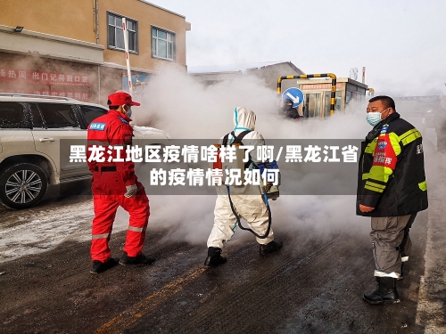 黑龙江地区疫情啥样了啊/黑龙江省的疫情情况如何