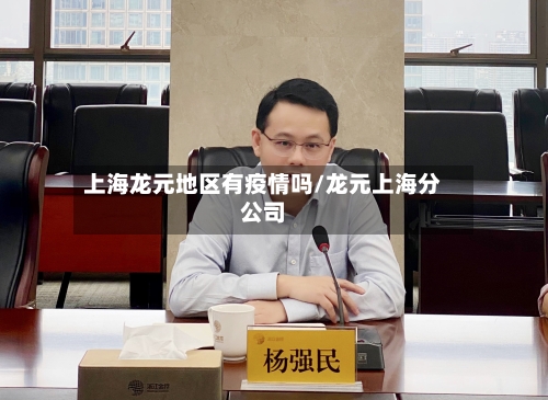 上海龙元地区有疫情吗/龙元上海分公司-第2张图片