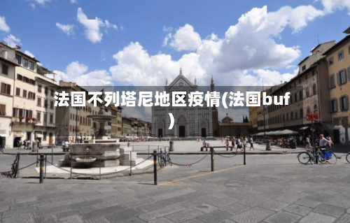 法国不列塔尼地区疫情(法国buf)-第2张图片