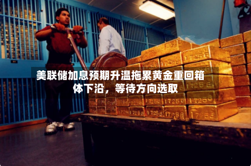 美联储加息预期升温拖累黄金重回箱体下沿，等待方向选取