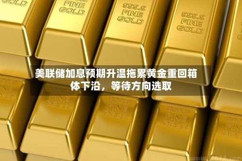 美联储加息预期升温拖累黄金重回箱体下沿，等待方向选取-第3张图片