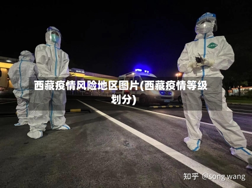 西藏疫情风险地区图片(西藏疫情等级划分)-第2张图片
