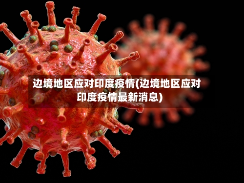 边境地区应对印度疫情(边境地区应对印度疫情最新消息)-第3张图片